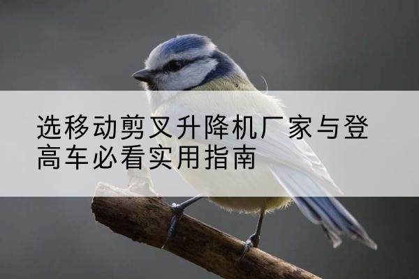 建始电动升降机厂家-选移动剪叉升降机厂家与登高车必看实用指南