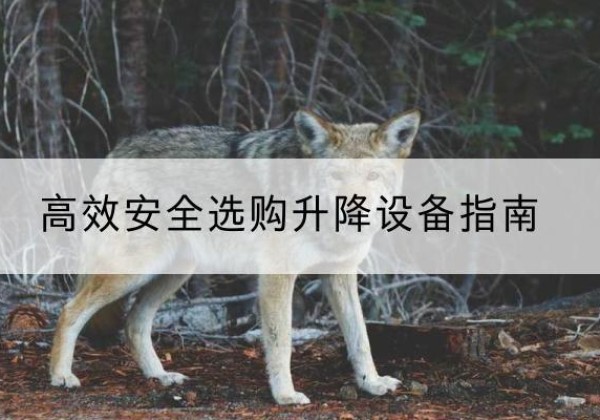 建始升降货梯厂家推荐-*安全选购升降设备指南