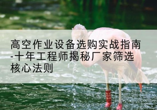 建始剪叉式升降机厂家-高空作业设备选购实战指南-十年工程师揭秘厂家筛选核心法则